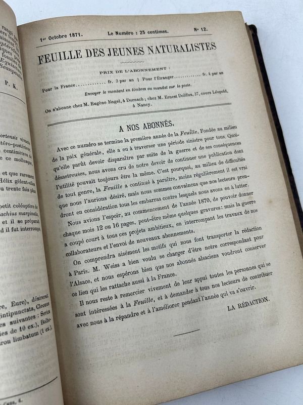 Item 924180 - Image 3