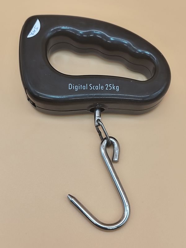 Balanza de pesca a pilas digital con capacidad de 25 kg - imagen 1