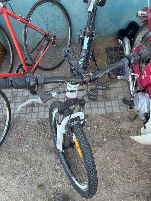 Item 858478 - Image 2