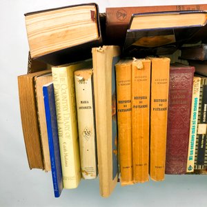 Lote de Libros Antiguos y Modernos Variados - imagen 3