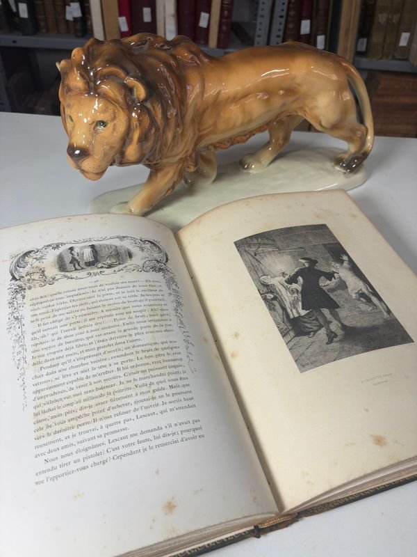 Item 885473 - Image 5