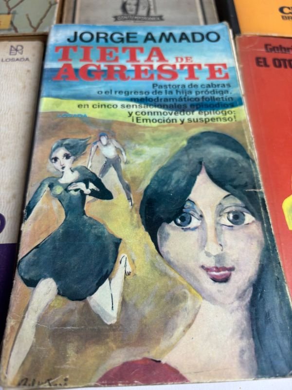 Colección de libros de literatura latinoamericana y universal - imagen 2