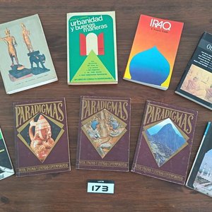 Lote anterior: Conjunto de Libros: El Poder Charrúa, Túpac Amaru, Oficio Abierto, Paradigmas (3 tomos), Guías de India e Irak, Urbanidad y Buenas Maneras