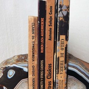 Lote de 4 Libros: Cielo de Tierra, Nuestros Clásicos, La Tijera de Onetti y Clarín de Vanguardia - imagen 3