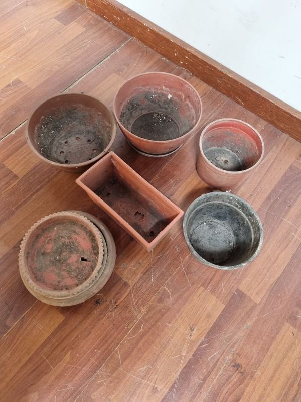 Item 854612 - Image 1