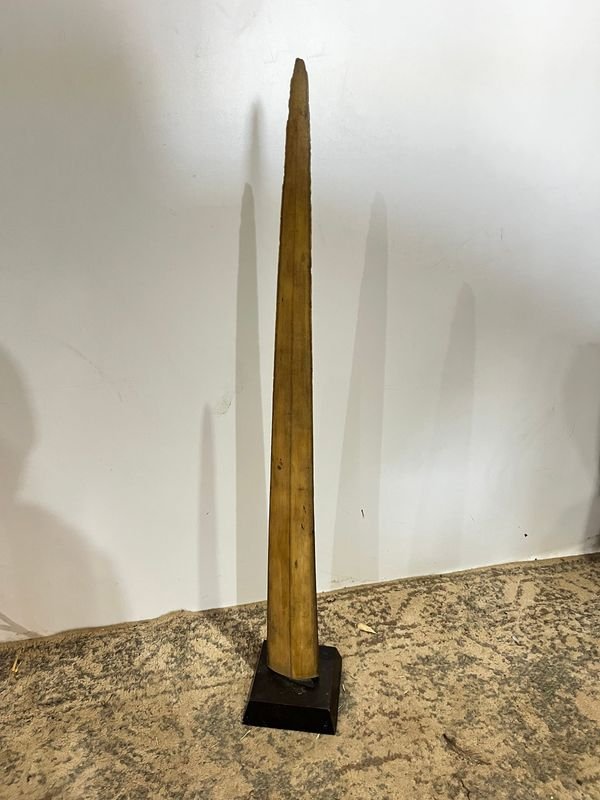 Item 878441 - Image 0