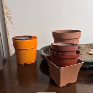 Lote de Macetas de Plástico y Barro - imagen 3