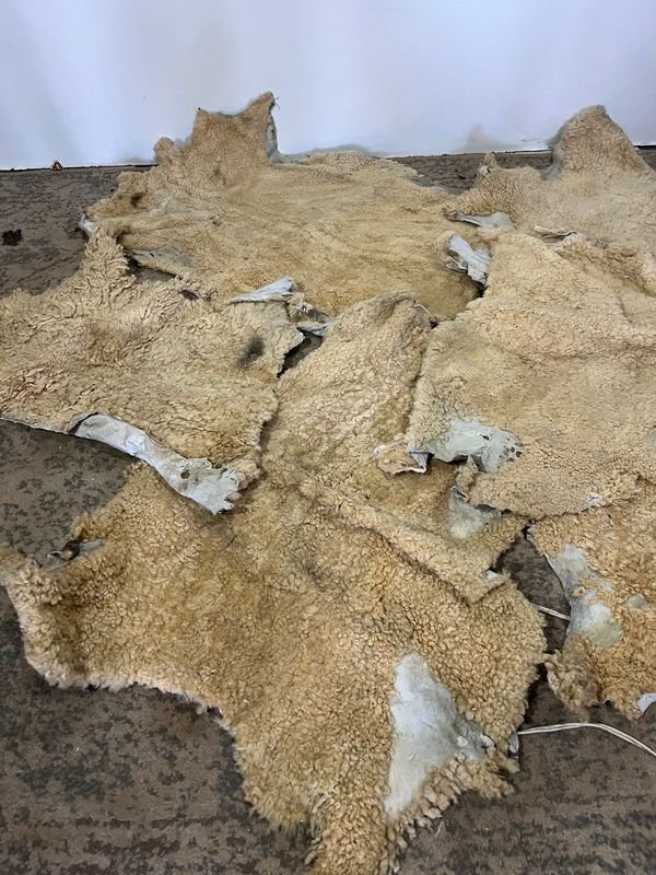 Item 848650 - Image 2