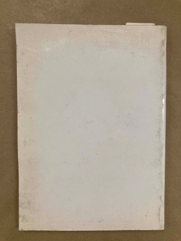 Item 871539 - Image 2