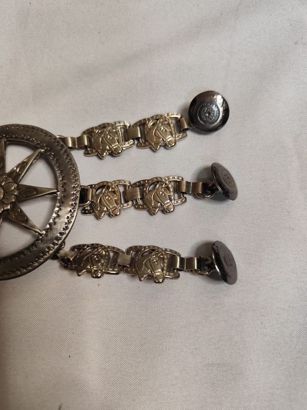 Lote siguiente: Rastras de metal con diseño de brújula y florales