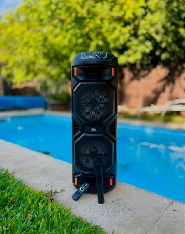 Parlante GRANDE con Bluetooth y Karaoke - imagen 3