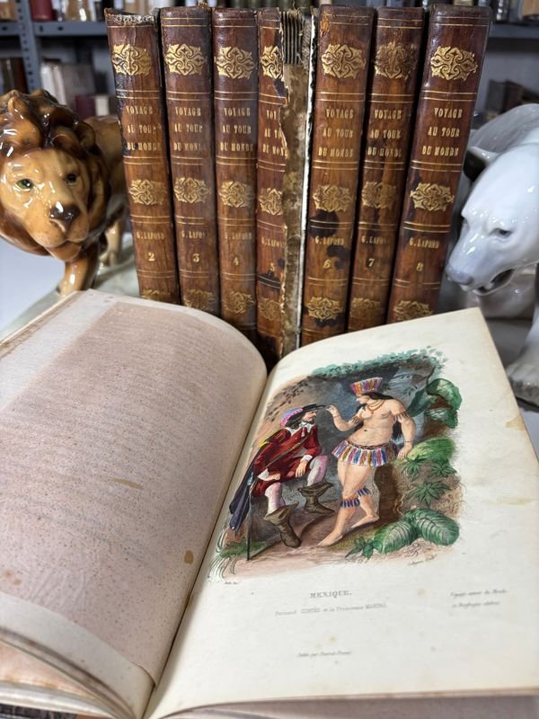 Libros antiguos con estampado de oro y estatuas de animales - imagen 3