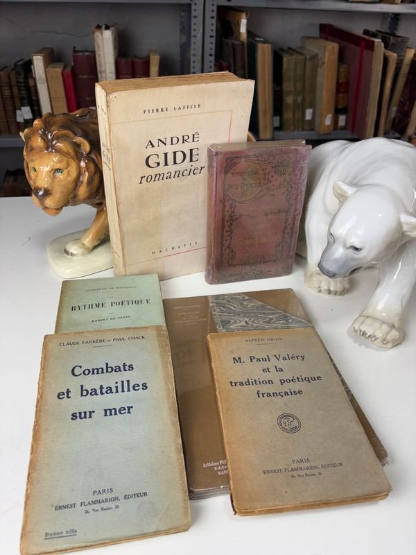 Lote siguiente: Libros antiguos en francés de 1895
