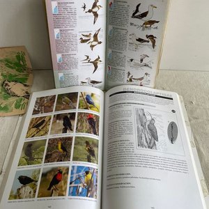 Lote de Libros sobre Aves del Río de la Plata y Uruguay - imagen 2