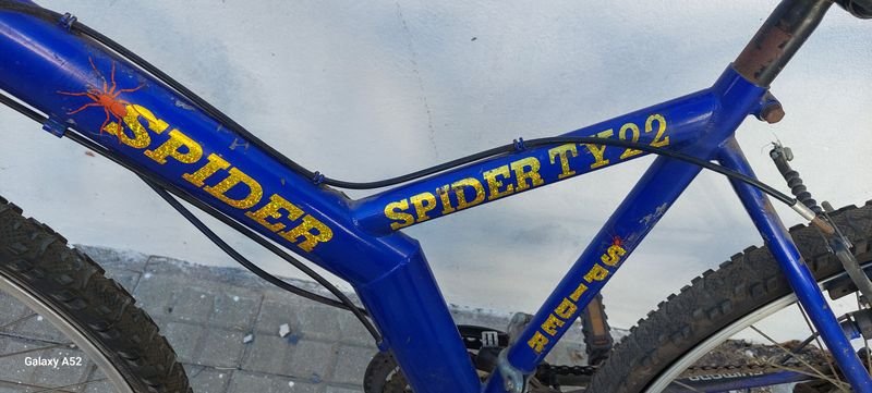 Item 900855 - Image 4