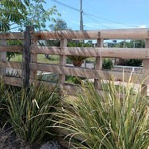 4 Pallets Grandes de Madera Curada para Cerramientos - imagen 3