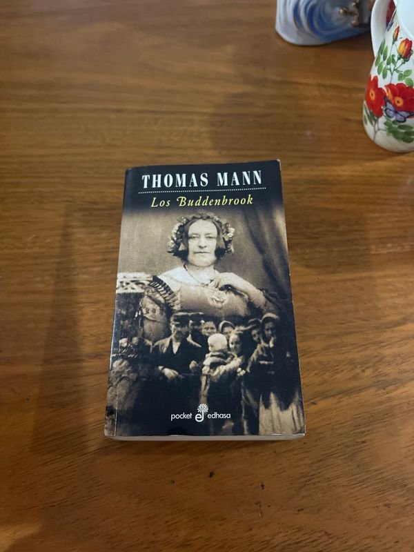 Libro Los Buddenbrook de Thomas Mann