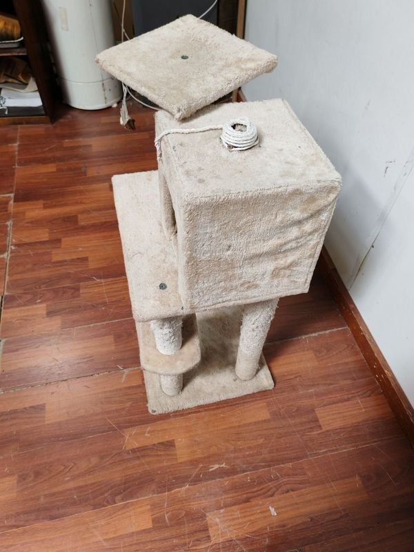 Item 875770 - Image 6