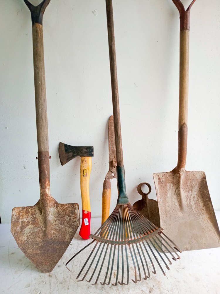 Item 488889 - Image 0