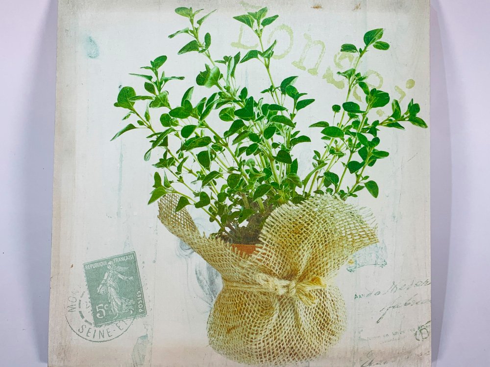 Item 494882 - Image 2