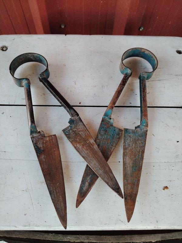 Item 876715 - Image 0