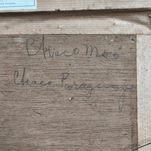 Oleo sobre Madera "E. Zárate" Retrato Indígena con Marco Blanco - imagen 10