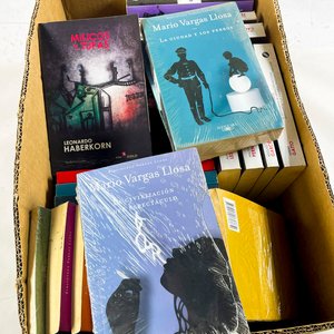 Lote de 23 Libros de Mario Vargas Llosa y Alfonso Lessa - imagen 2