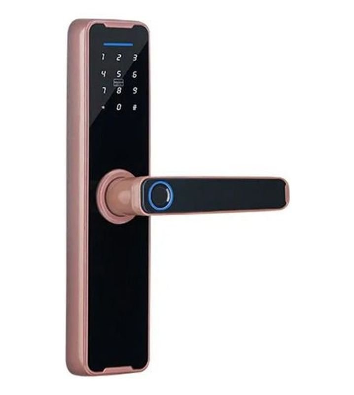 Puerta Digital con Cerradura y Teclado - imagen 1