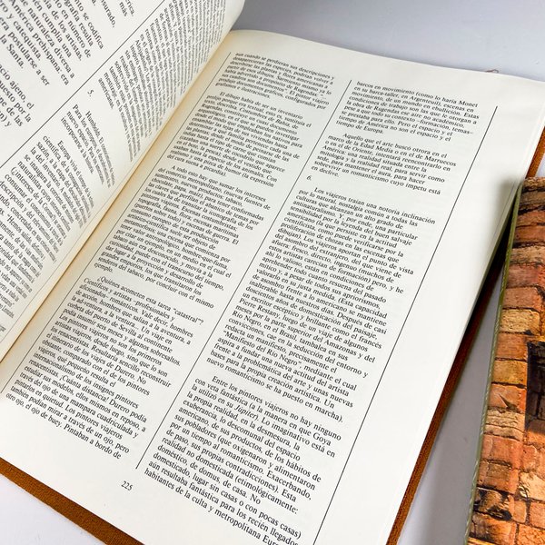 Dos libros sobre Arte Uruguayo y Paraguay - imagen 7