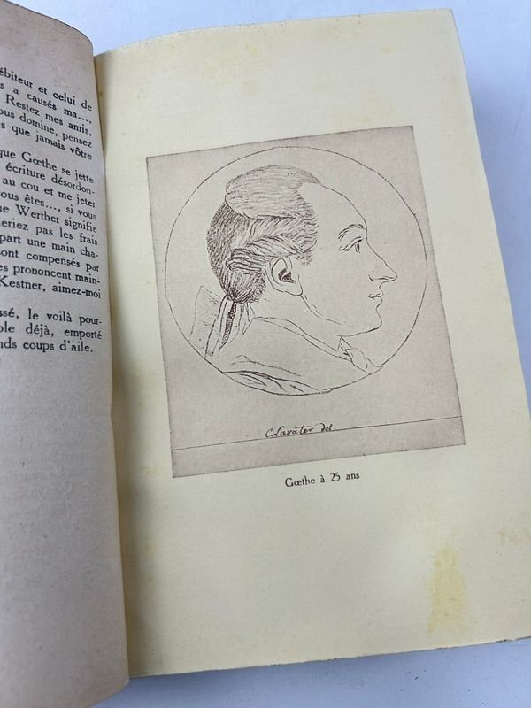 Libros de Goethe, historia de un hombre, 3 tomos, 1929 - imagen 3