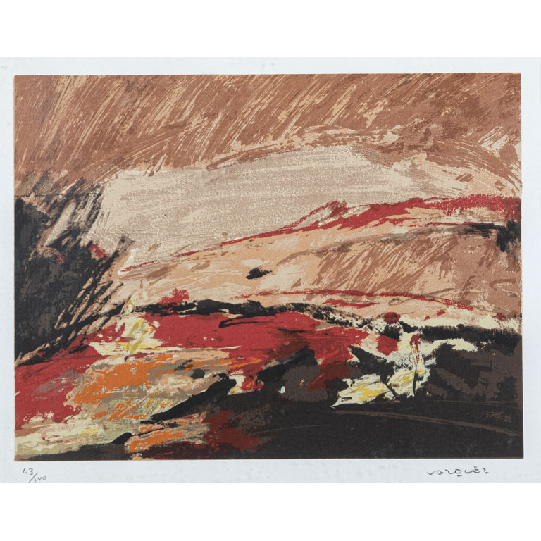 Lote anterior: Gustavo Vázquez. Abstracto. Serigrafía, 37 x 46 cm. Firmado abajo derecha