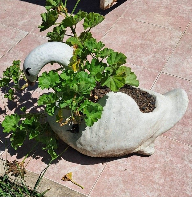 Lote anterior: Macetero de cerámica con plantas