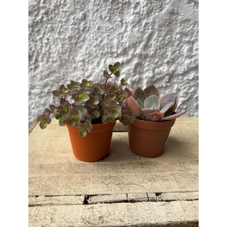 Item 2113552 - Image 0