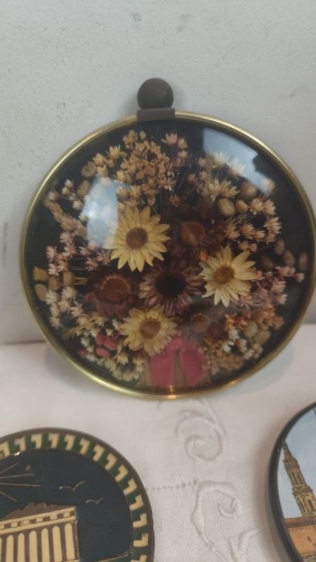 Colección de Souvenils y Cuadros de Flores Secas - imagen 2