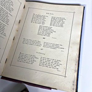 Seis Libros Antiguos con Ilustraciones y Hojas Caladas - imagen 8