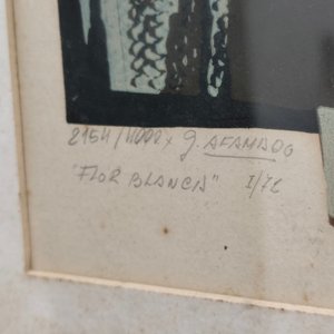 Serigrafía "Flor Blanca" de Gladys Afamado Firmada y Numerada - imagen 4