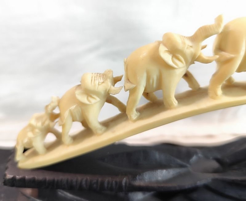 Item 868306 - Image 1