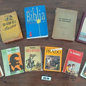 Lote anterior: Lote de 10 Libros: Música, Biblia, Literatura Uruguaya, Diccionario y Más