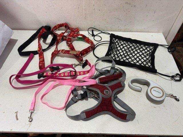 Lote de Accesorios para Mascotas: Collares, Correas y Arnés