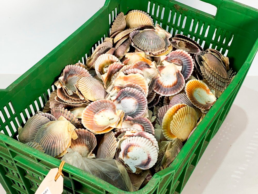 Item 486814 - Image 3