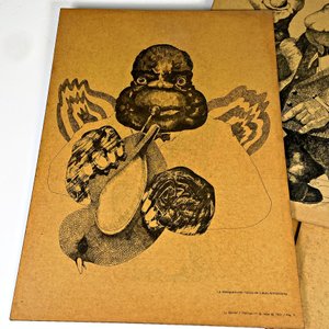 Ocho Piezas: Cuadros de Caricaturas y Libros de Arte - imagen 5