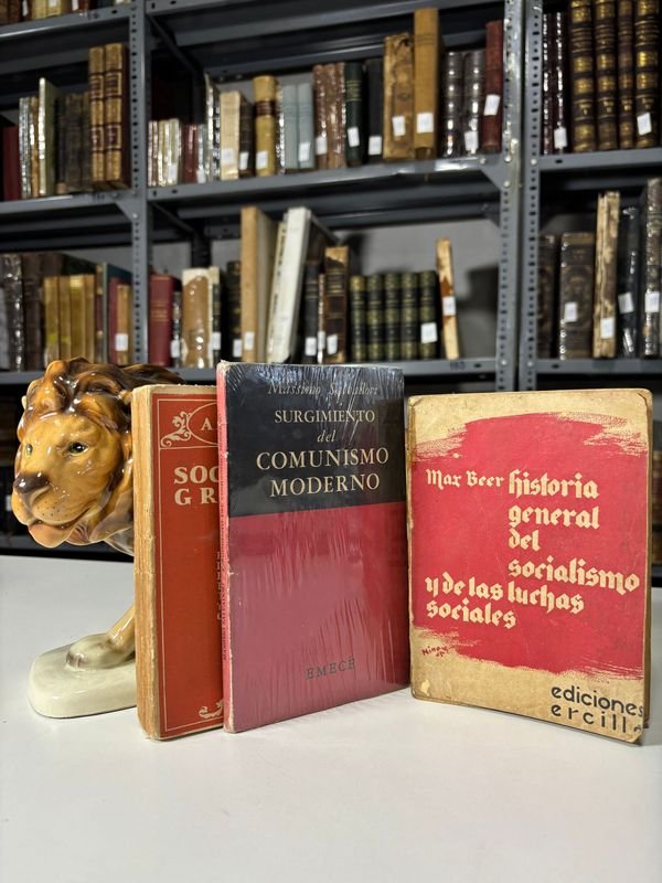 Lote anterior: Libros sobre socialismo y comunismo en el siglo XX