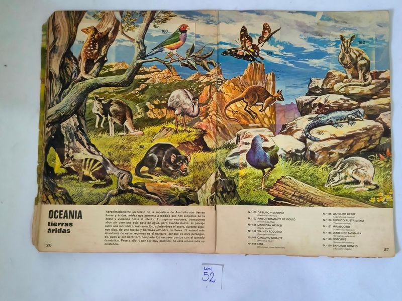 Item 844753 - Image 13