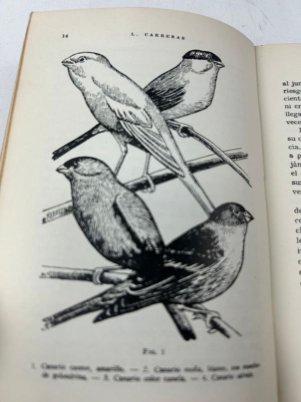 Cuatro libros de agricultura y aves en español - imagen 3
