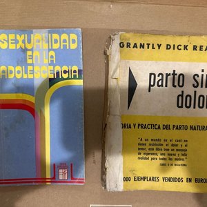 Lote siguiente: Libros: "Sexualidad en la Adolescencia" y "Parto sin Dolor"