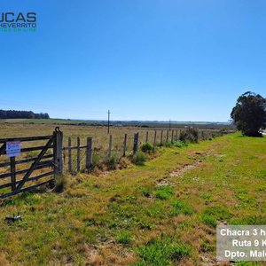 Chacra de 3 Hectáreas en Venta - Ruta 9 Km 176, Maldonado - imagen 7