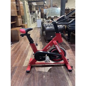 Bicicleta Fija de Spinning Roja con Detalles - imagen 1