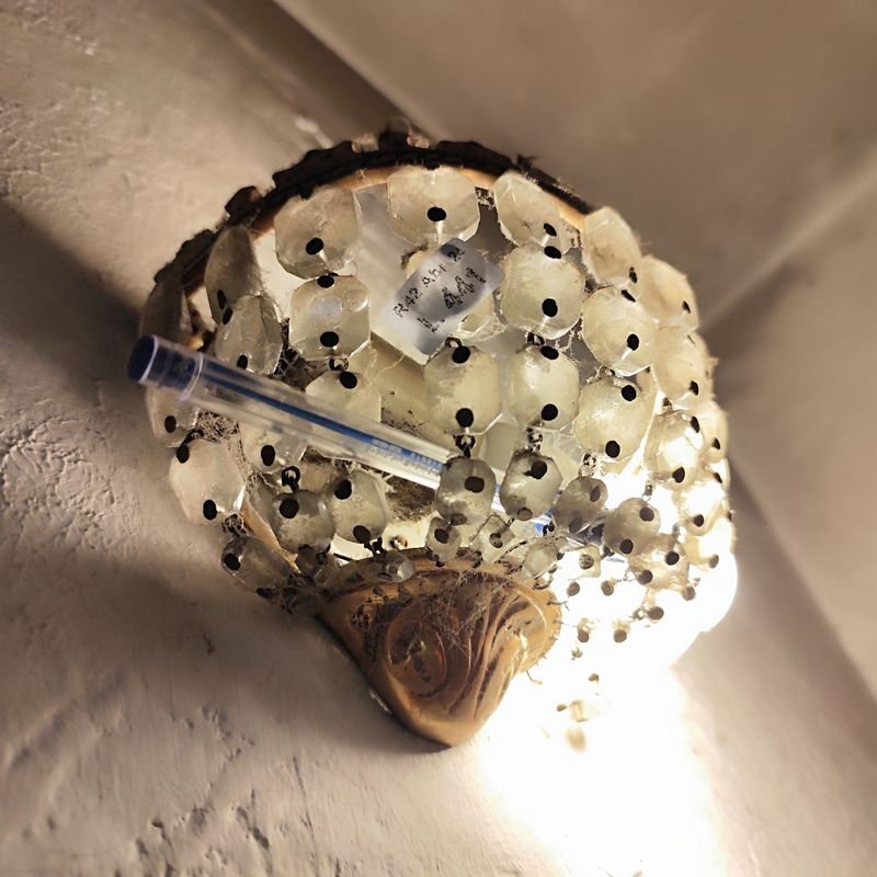 Item 880253 - Image 9