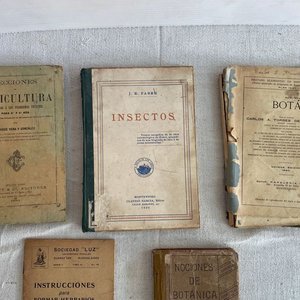 Lote de Libros Antiguos de Botánica, Insectos y Agricultura (1901-1940) - imagen 3