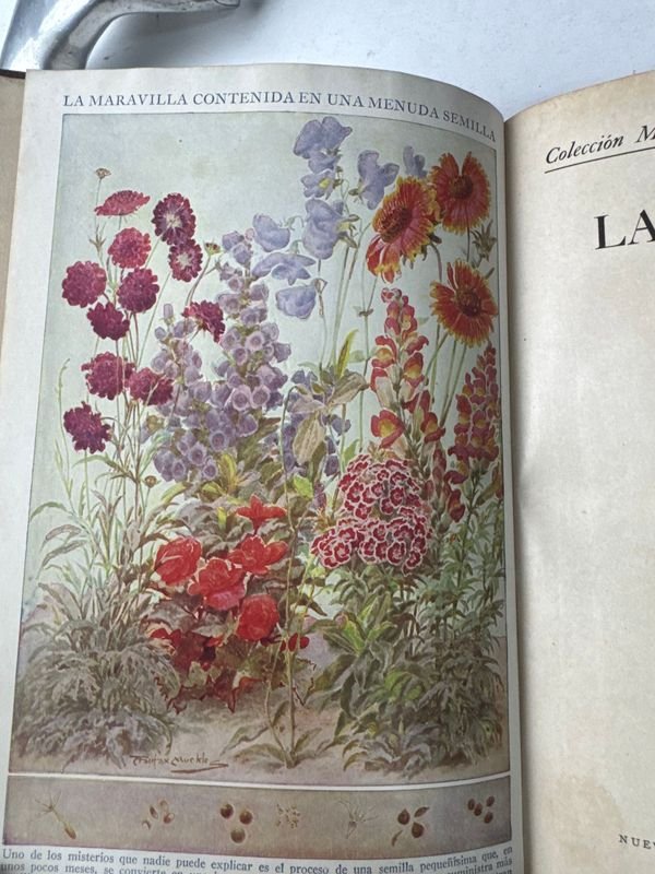Libros de educación y arte para niños - imagen 8